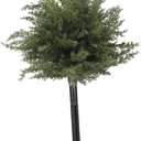 Groovy 28" (70cm) Artificial Cypress Topiary Tree with Ground Spike – UV-Resistant Outdoor Faux Cedar Evergreen Plant for Garden, Porch, Yard, and Patio Decor