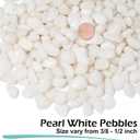 GASPRO 10 lbs White Pebbles for Plants, Vases, and Landscaping in Garden - Highly Polished 3/8" Small Rocks for Indoor and Outdoor Decor