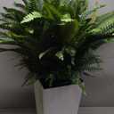 QIANYUN Fake Ferns-1PCS Artificial Ferns for Outdoors-Faux Plants Boston Fern Tall Potted Plant Large for Front Porch Office Home Decor Indoor Outdoor- Including Taper Planter (Green-01)