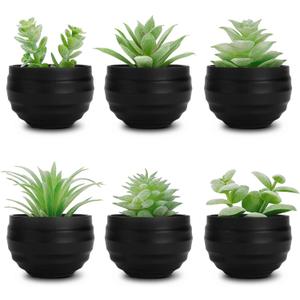 Der Rose Set of 6 Succulents Plants Artificial in Pots Small Fake Plants for Halloween Decorations Bedroom Living Room Office Shelf Black Bathroom Decor