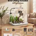 Glass Fish Tank Kit, 5 Gallon Betta Fish Tank Aquarium Starter Kit with Filter, Lights, Lid, for Betta, Goldfish, Small Fish or shrimgClear