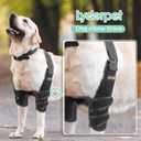 Dog Elbow Protector Brace for Canine Pads Elbow&Shoulder Support Callus, Hygroma, Dysplasia, Arthritis, Dislocation, Pressure Sores, with Metal Splints Wrap Both Left and Right Front Legs, Size: L