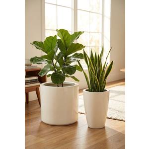 Beige Urn Planters 2 Pack, Pedestal Planter Pots, Decorative Flower Pots, Indoor & Outdoor Use, Drainage Holes & Plugs, Front Porch, Patio & Garden