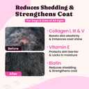 Premium Collagen for Dogs & Cats  5 Types of Grass-Fed Collagen (I, II, III, V & X), Fast Allergy & Itch Relief Dog Colgeno with MSM, Biotin & Hyaluronic Acid  Supports Healthy Skin & Joints 120ml