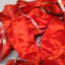 Decorations, Red Ribbon and Light