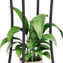 YINMIT Plant Stand Indoor Outdoor, 2 Tier Metal Potted Holder Rack, Flower Pot Stand Shelf, Heavy Duty Round Supports Rack, Corner Plant Shelf for Balcony Garden Patio Living Room (Black-Iron) (29.9 In-Height)