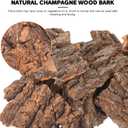 Kisangel Reptile Bark Climbing Platform and Hideout Hut - Natural Terrarium Decoration for Snake Lizard Gecko Tanks - Multi-Functional Habitat Accessory for Climbing Hiding Exploration