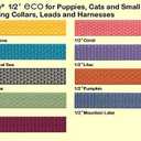 LupinePet Eco 1/2" Berry 10-13" Step In Harness for Extra Small Dogs
