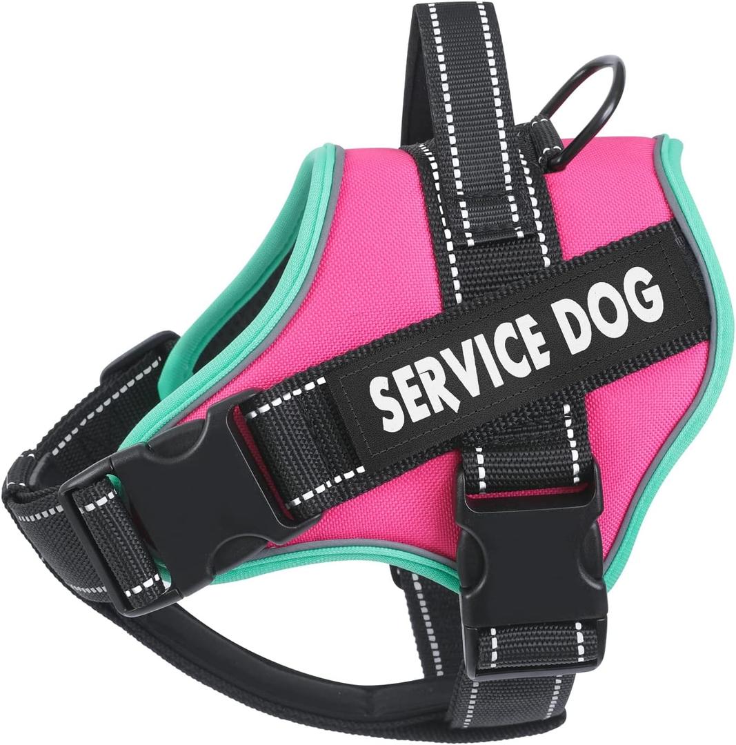 voopet Service Dog Harness, Emotional Support Pet Vest Harness, Reflective Breathable and Adjustable No-Pull ESA Dog Harness for Small Medium Large Dogs (with 4 PCS Removeable Tags) (Small (Pack of 1), Fushia_Turquoise)