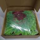 Dingion 8 Pcs 9.8" Small Christmas Cabinets Wreaths Mini Wreaths for Kitchen Window Chair Backs with Ribbon Bell Artificial Greenery for Farmhouse Holiday Decoration (Velvet,Elegant,Dark Red)