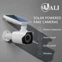 WALI Dummy Fake Camera, Security Camera with Motion Sensor Flood Light, Simulated Surveillance Security CCTV Dome Camera Indoor Outdoor (TCW2-SOL), 2 Packs, White-Solar
