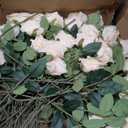 100 PCS Fake Champagne Roses, Artificial Champagne Flowers Bulk Realistic Silk Faux Rose with Stems for Wedding Decoration Anniversary Bridal Bouquet DIY Floral Arrangement Romantic Home Decor Gifts