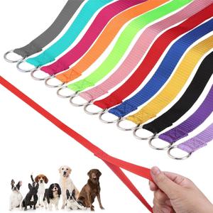 HOMIMP Slip Lead Dog Leash 6 FT- 24 PCS Bulk Colors Kennel Control Leashes for Small Medium Large Dogs Puppy Animal Rescue, Grooming - Heavy Duty Strong Nylon 6 Foot Long for Shelter, Vet, Training