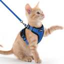 rabbitgoo Cat Harness and Leash for Walking, Escape Proof Soft Adjustable Vest Harnesses for Cats, Easy Control Breathable Reflective Strips Jacket, Navy Blue, XXS