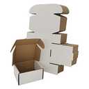 Rnisda 4x4x2'' Small Shipping Boxes 25 Pack, White Corrugated Cardboard Literature Mailers, Mailing Packaging Supplies for Small Business (W442-25)