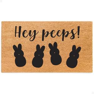 THEODORE MAGNUS Easter Door Mat - Welcome Mat for Front Door with Non-Slip Backing - Durable Doormat - Perfect for Outside Entrance and Entryway Matt - Outdoor/Indoor - Hey Peeps - 17" x 30"