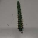 Golden-Tipped Elegance Tree Shaped Taper Candles, Evergreen, Set of 4