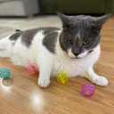 SPOT Lattice Balls Cat Toys - Durable, Fun Balls with Bells Perfect for Swatting and Batting, Colorful Toys to Entertain Indoor Cats and Kittens, - 1.5 inch, 4 pcs