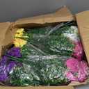 Elyum 2 Pack Artificial Hanging Flowers for Outdoors, Fake Flowers Artificial Petunias Hanging Baskets for Outdoors, UV Resistant Fake Hanging Plants Flowers for Outside Garden Patio Porch Decor