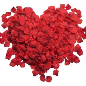 1000PCS Artificial Silk Rose Petals Fake Rose Flower Petals for Valentine's Day Romantic Night Wedding Proposal Anniversary Party Decorations(Dark Red Dot Black)