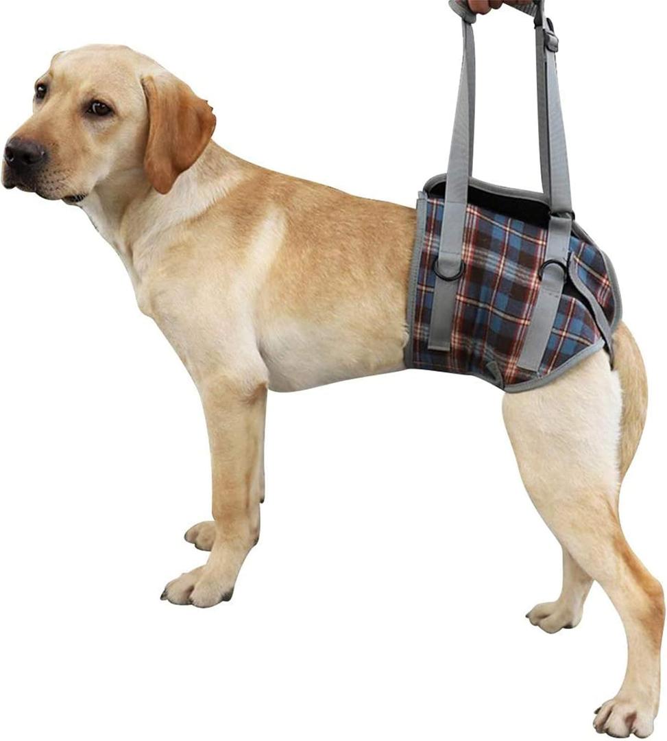 ROZKITCH Dog Lift Harness, Grid Pet Rear Support Aid Veterinarian Approved Sling for Old K9 Help with Poor Stability, Back Leg Hip Disabled Joint Injury Elderly Arthritis ACL Rehabilitation Rehab L