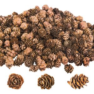 Deloky 800PCS Christmas Natural Mini Pine Cones-Thanksgiving Pinecones Ornaments-Fall Small Pinecones Vase Fillers for DIY Crafts, Fall, Christmas,Wedding Decor