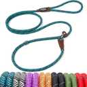 Fida Durable Slip Lead Dog Leash, 6 FT x 3/ 8" Heavy Duty Dog Loop Leash, Comfortable Strong Rope Slip Leash for Small Dogs and Puppies, No Pull Pet Training Leash with Highly Reflective(3/ 8", Blue)