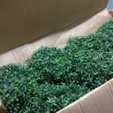 35 Inch Artificial Boxwood Topiary Tree Spiral Plants Fake Faux Plant Decor in Plastic Pot Green Indoor or Outdoor, Set of 2