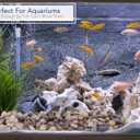 River Rocks Decorative Ornamental Vase Filler Aquarium Gravel Natural, Large 2 lbs - Landscaping Pebbles for Indoor Plants, Fish Tank Gravel, Terrarium & Home Decor, DIY & Crafting  Royal Imports