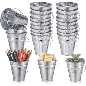 Sadnyy 24 Pcs 3.5 Inch Small Metal Buckets with Handle, Mini Metal Pail Tin Galvanized Pail Container for Crayon Storage Wedding Table Decorations Trick or Treat Flower Plant Party Gift (Silver)