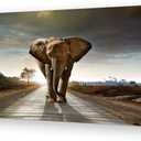Muolunna D1275 Elephant Canvas Prints Wall Art Animals Photo Pictures Painting on Canvas Decor for Living Room Bedroom Home Office kitchen Wall Decor Stretched and Framed Grey Landscape Artwork (58L" x 29W")