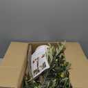 Olive Trees Artificial Indoor 5FT - Fake Tree for Indoor Decor, Realistic Faux Plants with Silk Leaves Resin Trunk, Tall Floor Olive Tree for Living Room, Office, Lobby, Modern Decor