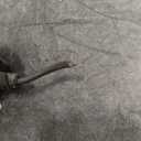 KUSATEC 515110 & 515111 Front Wheel Bearing and Hub Assembly Compatible with Chevrolet Colorado 4x4/4WD, GMC Canyon 4x4/4WD 2004-2008, Isuzu i-350 4x4/4WD 2006-2008, 6 Lug w/ABS