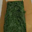 Hananona 2 Pcs 6 Ft Artificial Norfolk Pine Garlands, Real Touch Winter Pine Garland, Green Artificial Greenery Garland for Table, Mantle, Wall, Indoor, Outdoor Christmas Decorations (2, 6 FT)