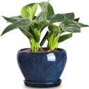 vicrays Ceramic Plant Pots Indoor - 6.5 Inch Planter Pot with Drainage Hole and Saucer for Succulent Orchid Flower Herbs Cactus - Ideal for Gardening Home Desktop Office Decor - Blue