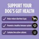 Purina Pro Plan Veterinary Supplements FortiFlora Daily Probiotics for Dogs, Helps Digestive Gut Health and Diarrhea - 30 ct. Box