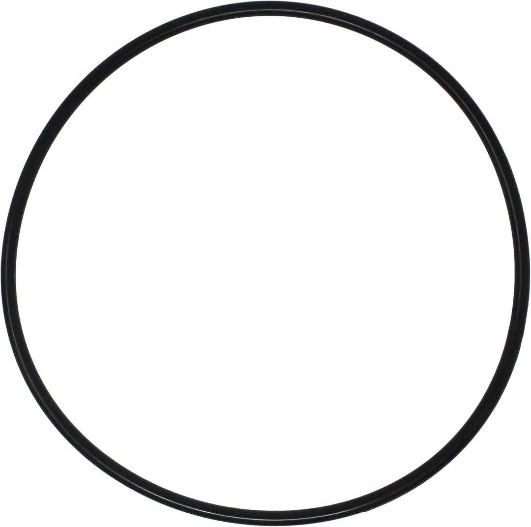 AppliaFit Body O-Ring Compatible with Pentair 87300400 for Clean & Clear, Predator, EasyClean and Warrior Filter Tank Systems (1-Pack)