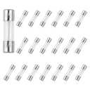 2 x 520mm 1A Fast-Blow Glass Fuse 250V 1 Amp Fuse F1AL250V 20PCS Automotive Fuses Assortment Kit Cartridge Fuse
