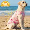 2 Pack Summer Dog Cooling Shirt Breathable Quick Dry Dog T Shirts Sun Protection Tank Top for Small Medium Large Breeds (Strawberry+Watermelon, X-Small)