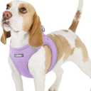 rabbitgoo Small Dog Harness, Step-in Soft Mesh Puppy Vest with Safety Buckle, Breathable Reflective Pet Harness for Small Sized Dogs, Light Purple M (M(Chest:16.0"-18.5"))