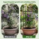 3-Plant Support, 19.6 inches in Diameter × 39 inches high; Plant Support for Peonies; Stackable Metal core Poles with PVC Coating; Garden Support Frames for Plants Such as Tomatoes and Peonies