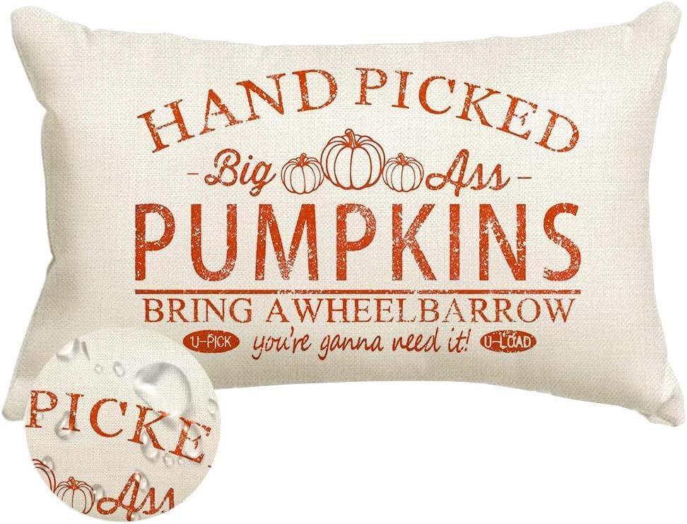 Fall Pillow Covers 12x20 Outdoor Waterproof Pumpkin Autumn Decor
