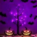 2FT Black Spooky Tree, USB & Battery Operated Tabletop Halloween Tree with Timer for Lighted Indoor Decor (Purple 1 PK)