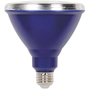 Westinghouse Flood Outdoor Weatherproof LED Light Bulb with Medium Base