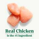 Nutro Wholesome Essentials Hairball Control Cat Food Dry Chicken & Brown Rice Recipe, Dry Cat Food for Adults, 14 lb. Bag, BB: 04 Mar 2026