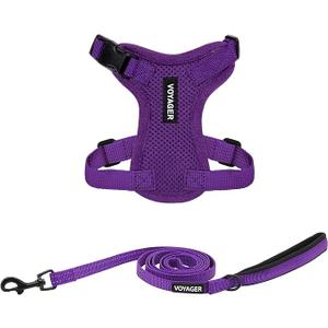 Voyager Step-in Lock Adjustable Cat Harness w. Cat Leash Combo Set with Neoprene Handle 5ft - Supports Small, Medium and Large Breed Cats by Best Pet Supplies - Purple, XXXS