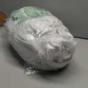 BLISSFORD Plastic Mattress Protector Zippered Queen, Waterproof Vinyl Mattress Cover, Heavy Duty Noiseless Mattress Encasement (Queen (60"x80") 9" Drop)