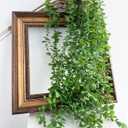Mythlty 3 Eucalyptus Stems Artificial Hanging Plant, Fake Plastic Hanging Greenery Stems with Roots for Home Farmhouse Wall, Ceiling, Bathroom, Mantle, Outdoors Porch Decorations (3, Eucalyptus)