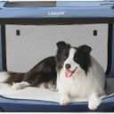 Lesure Collapsible Dog Crate - Portable Travel Kennel for Large Dog, 4-Door Pet Crate with Mesh Windows, Indoor & Outdoor, Blue (36.0"L x 25.0"W x 25.0"H)