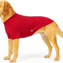 Premium Yoga-Fabric Dog T-Shirt Breathable, Stretchy, Anti-Shedding Pet Clothes for All Seasons Red 2XL